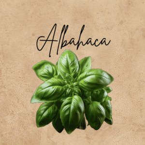 Albahaca
