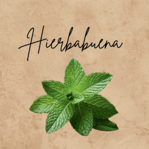 Hierbabuena