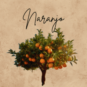 Naranjo
